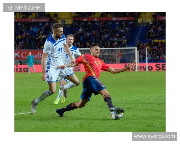 波黑足球历史上十大最具影响力球员盘点及其精彩瞬间回顾